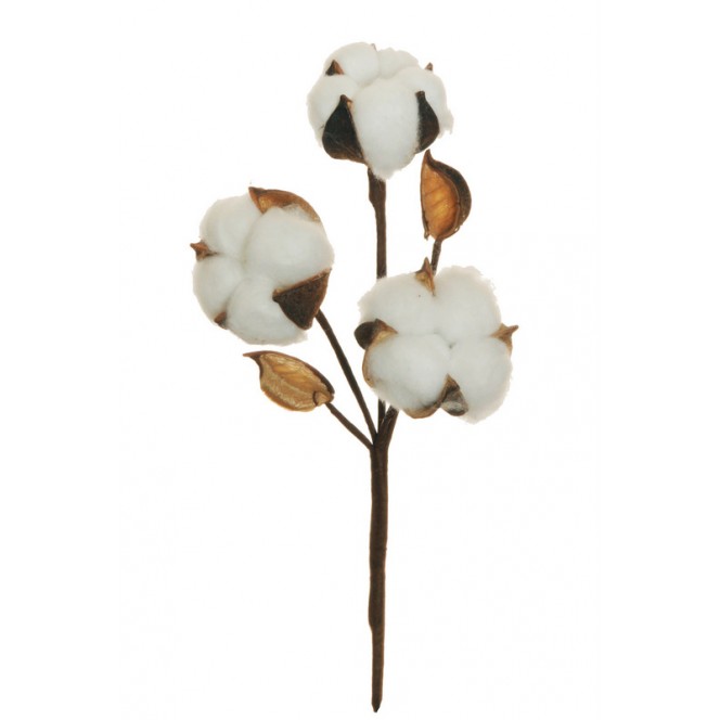Pick ramo fiore di cotone x3 — Fiori Artificiali