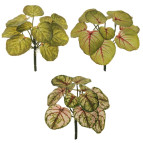 3D REAL TOUCH CALADIUM ASSX3  POLIESTERE VERDE  x H 28,00 CM