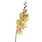 RAMO PHALAENOPSIS C/7 FIORI E BOCCIOLI POLIESTERE VERDE/ ROSA 87,00 CM